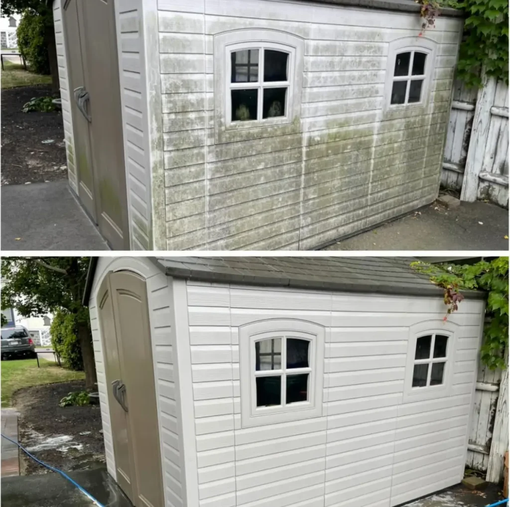 Before and after exterior cleaning of algae-covered backyard shed.