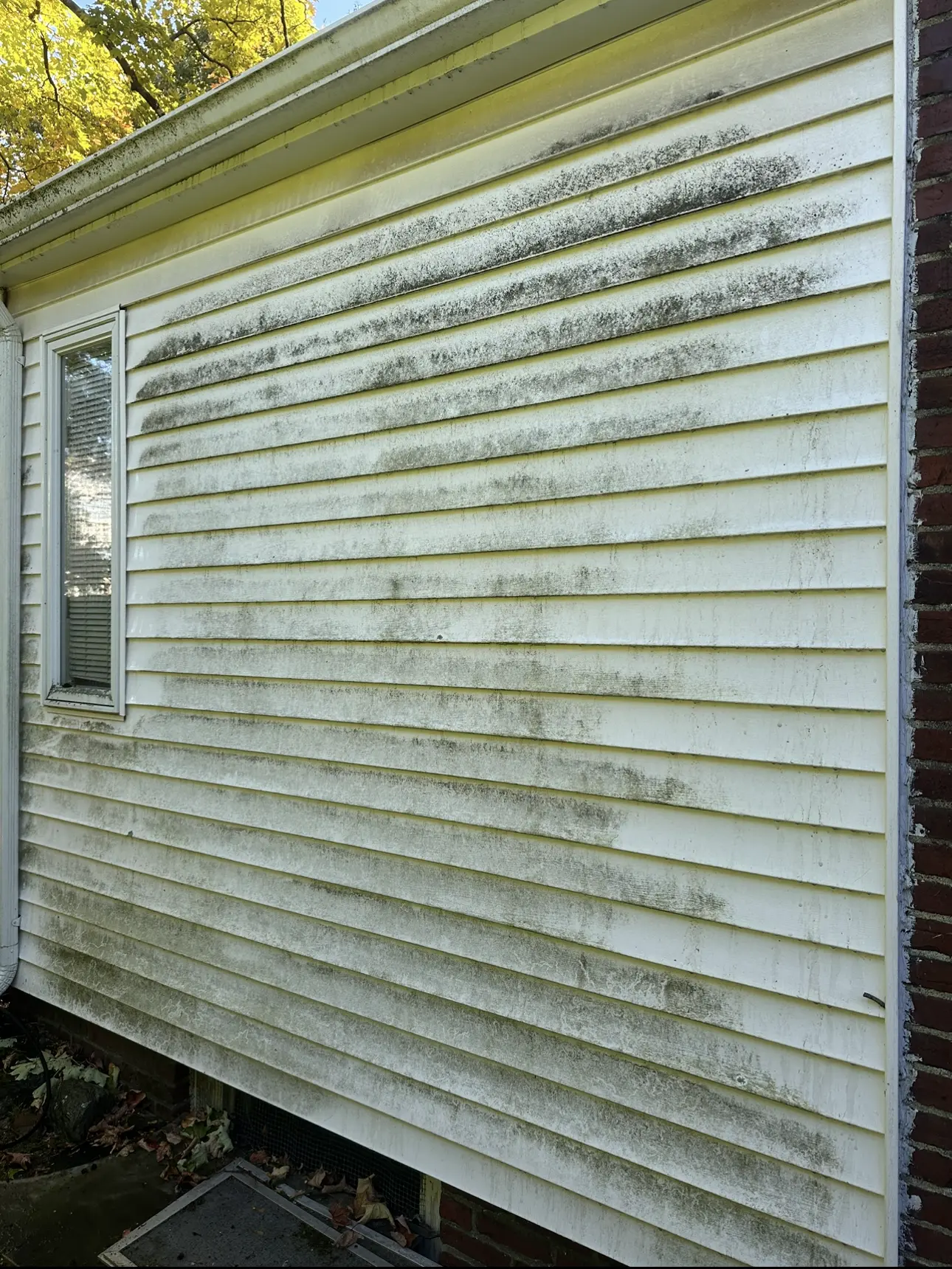 Siding_before1