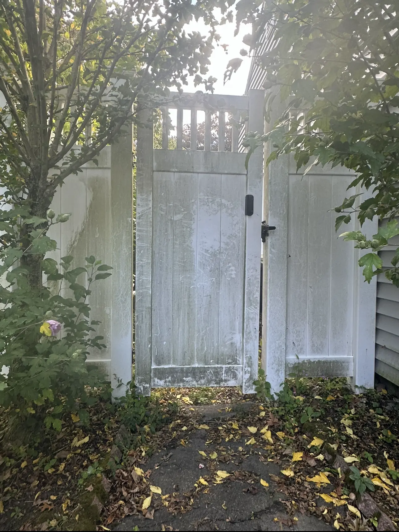 fence1
