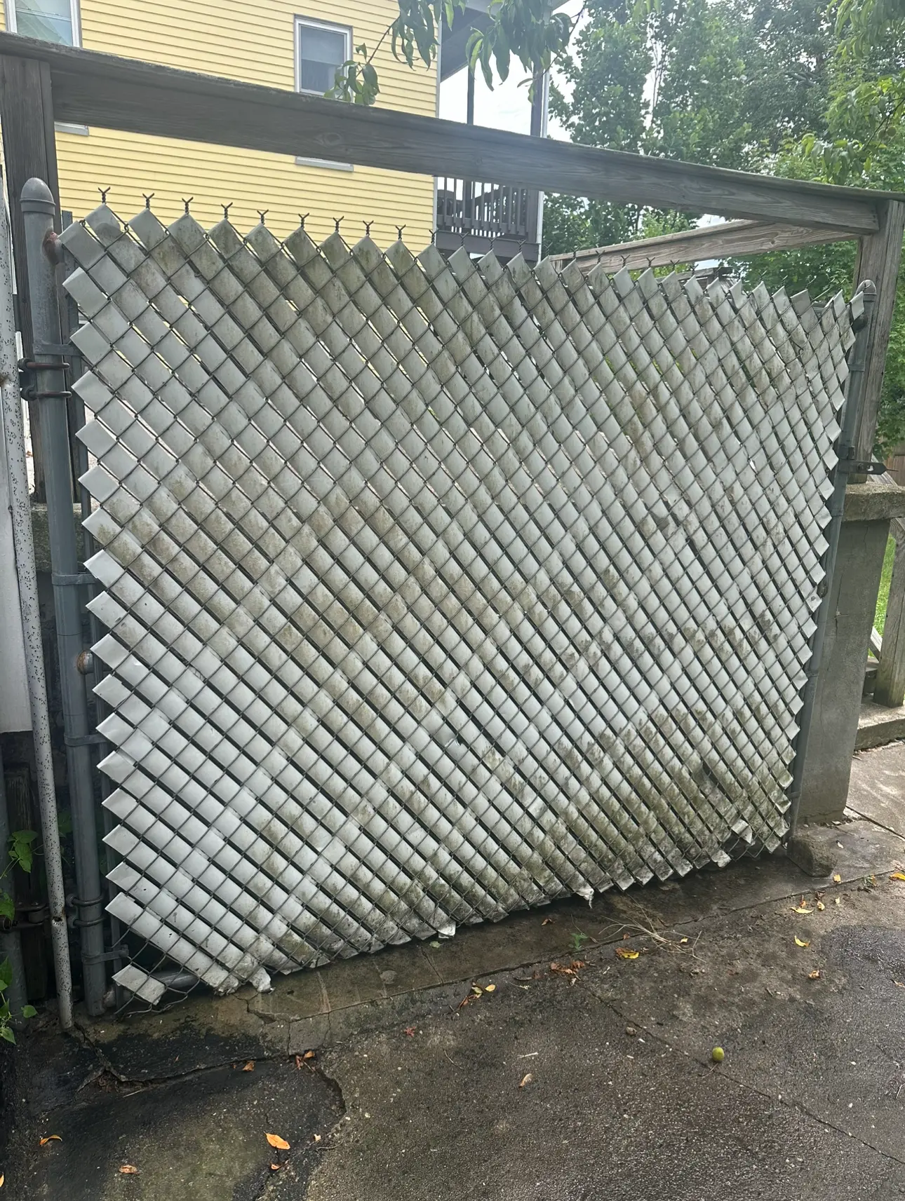 White fence Before