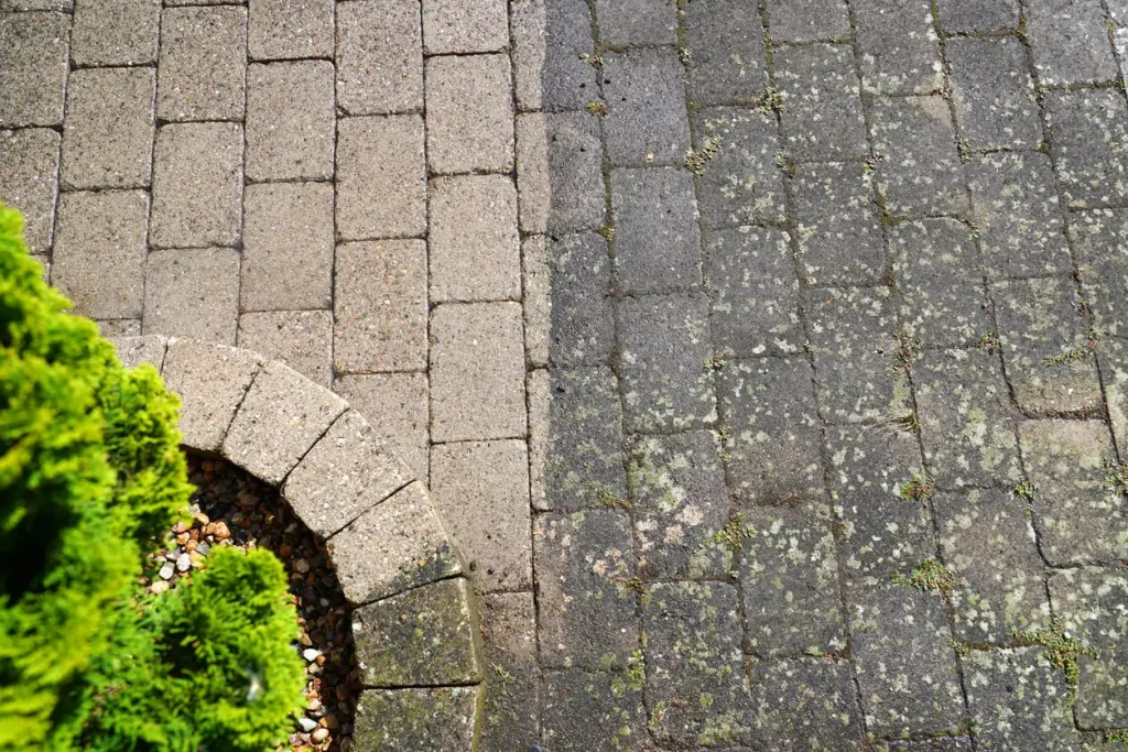 Paver patio pressure washing showing clean pavers next to moss and algae buildup.